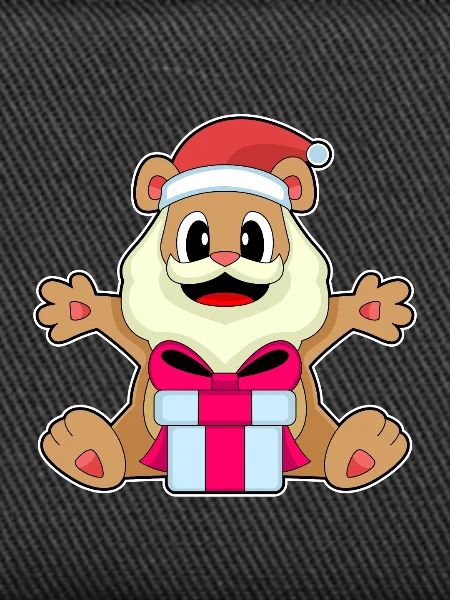 Bear Christmas Package