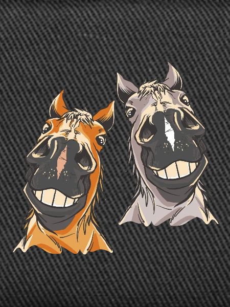 Pferdekopf Pferd Pferde