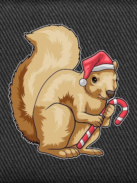Squirrel Christmas candy cane