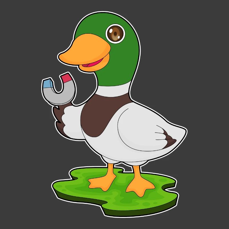 Aimant à canard