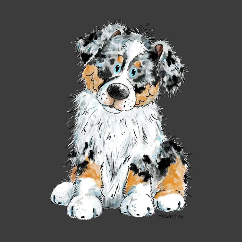 Australian Shepherd Hund Aussie