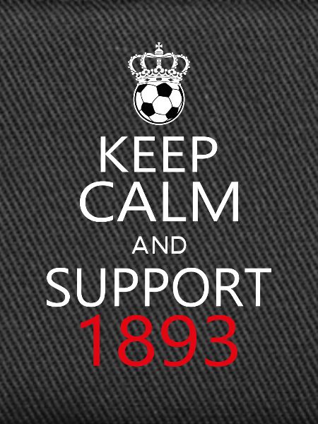 Support 1893