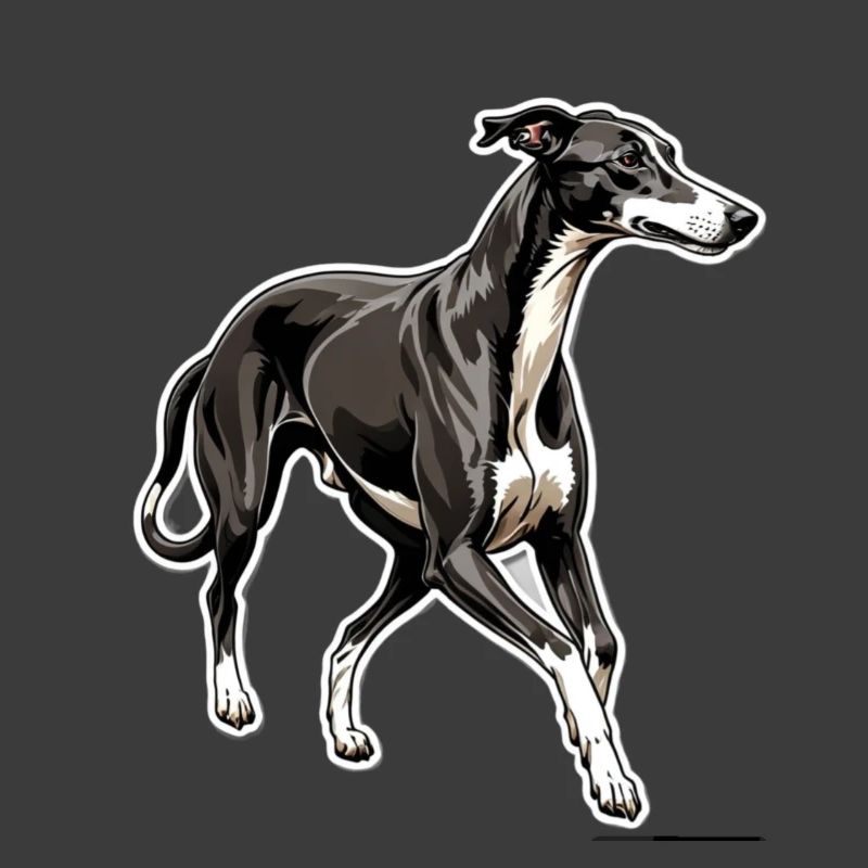 Greyhound Silhouette Elegant Contour