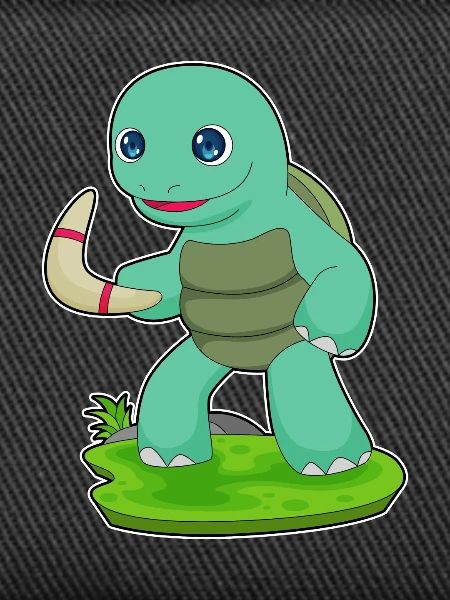 Turtle Boomerang