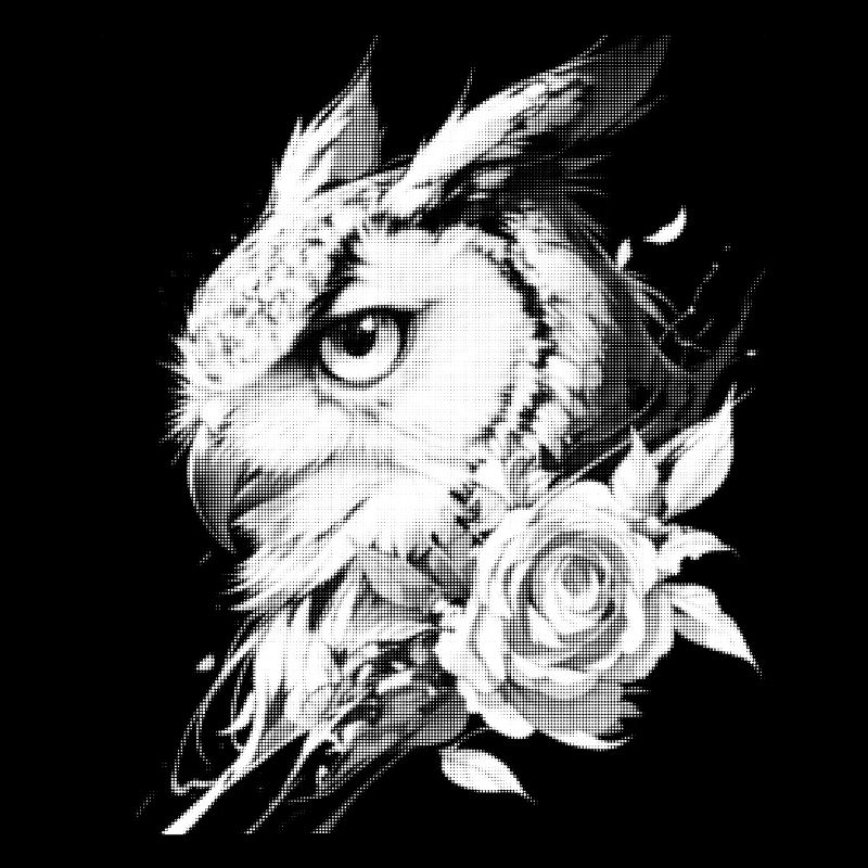 Rose Owl Floral Aesthetics Night Owl Bird Gift