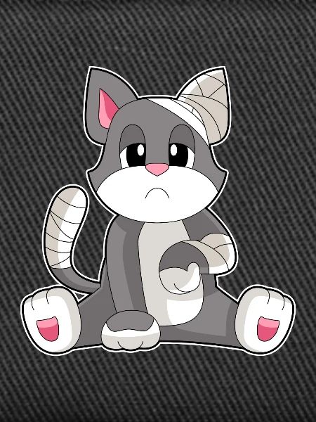 Bandage pour chat