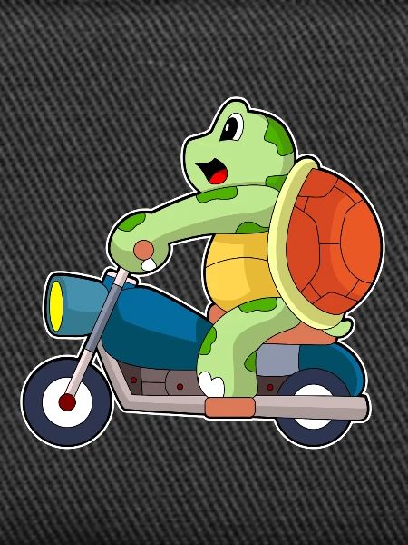 Turtle Motorcycle