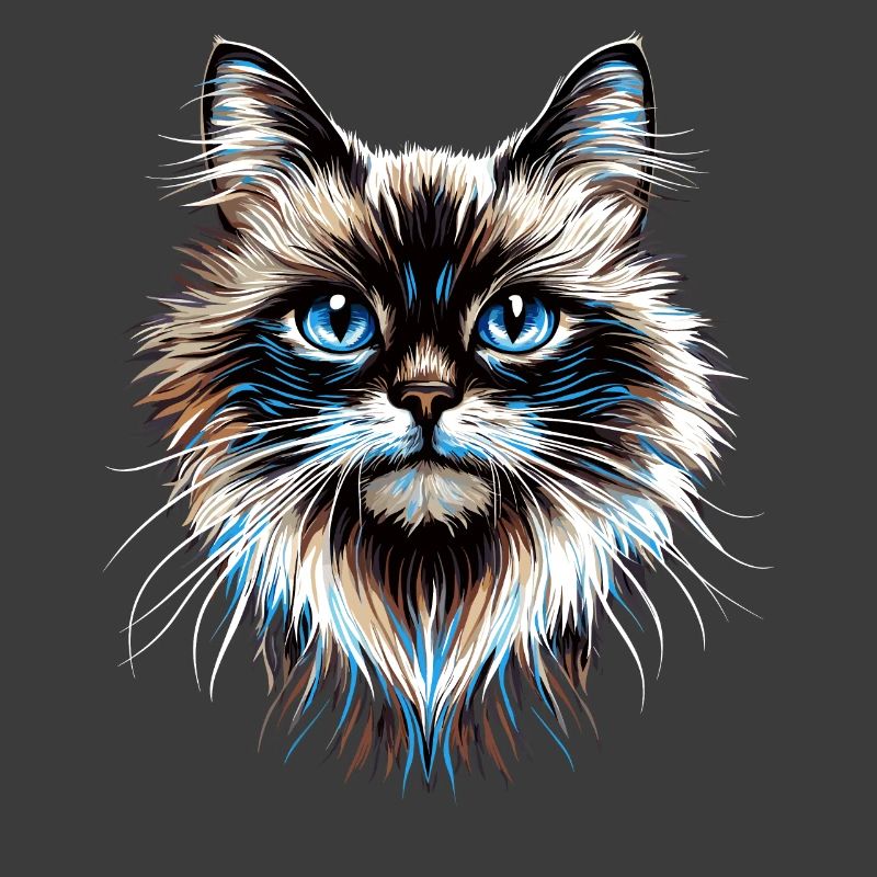 Chat Ragdoll Chat Ragdoll Chat Mignon Chats Ragdoll