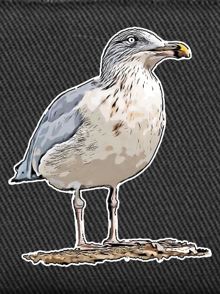 Möwe