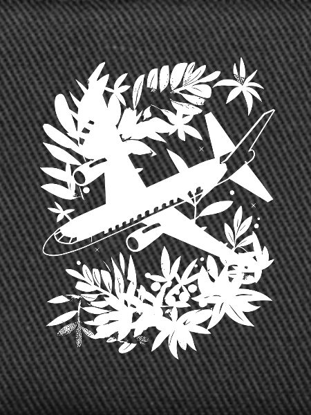 Airplane Comic Style