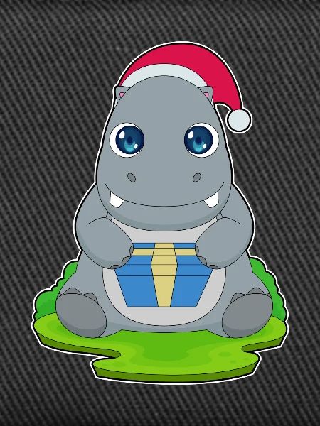 Hippopotamus Christmas Package