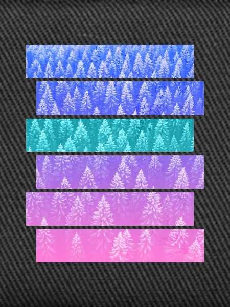 Sapin