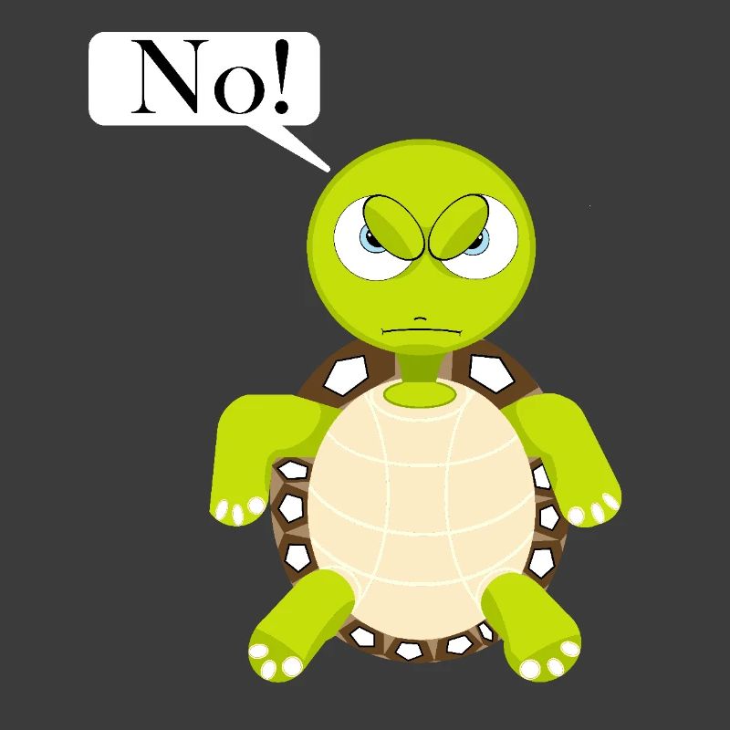 Statement No Turtle, No Fun Comic, No