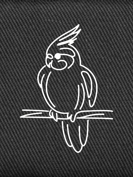 Cockatiel