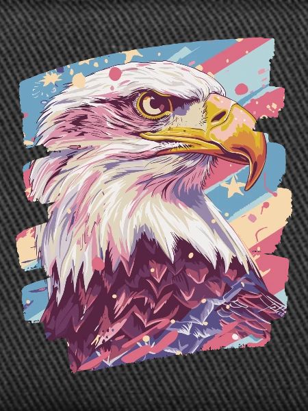 American flag with eagle