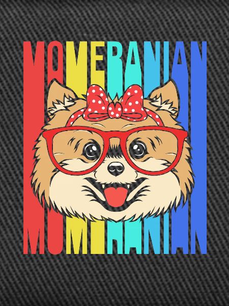 Zwergspitz Pomeranian Mama