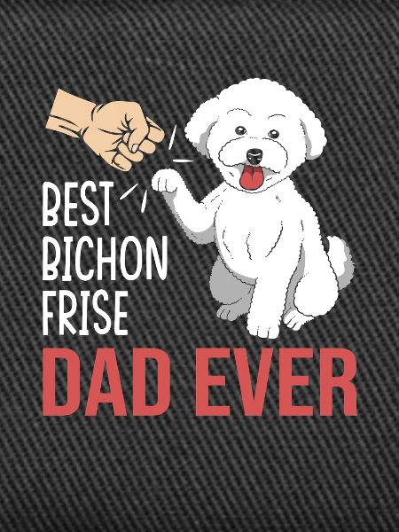 Bichon Frise Dog