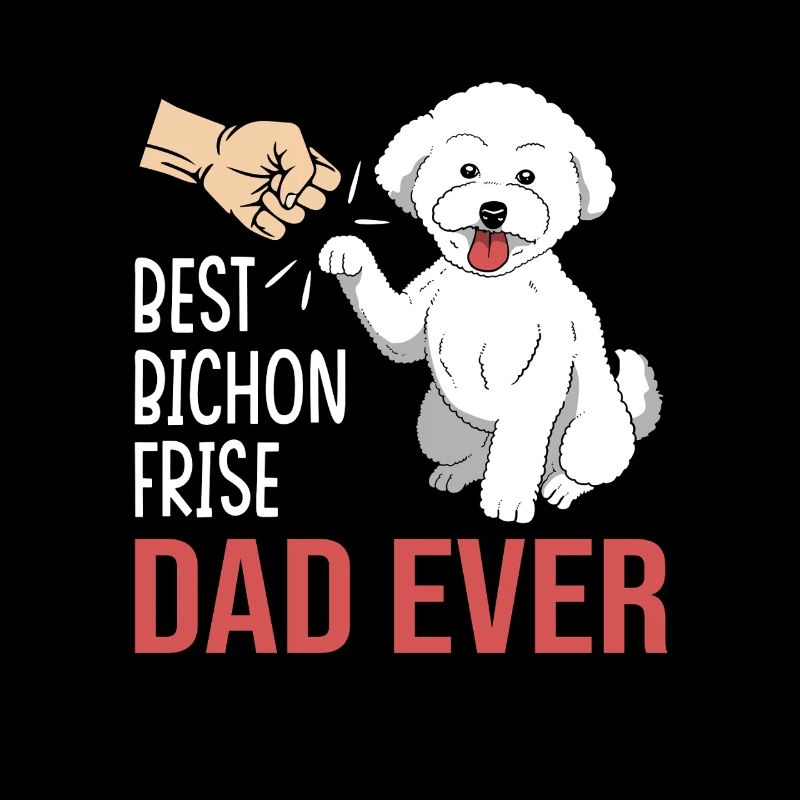 Bichon Frise Hund