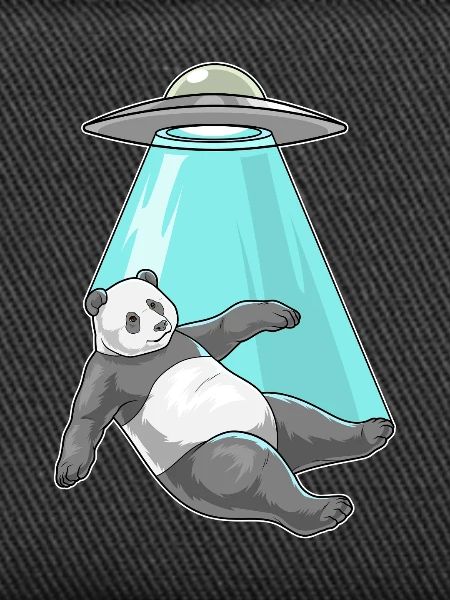 Panda Spaceship Space