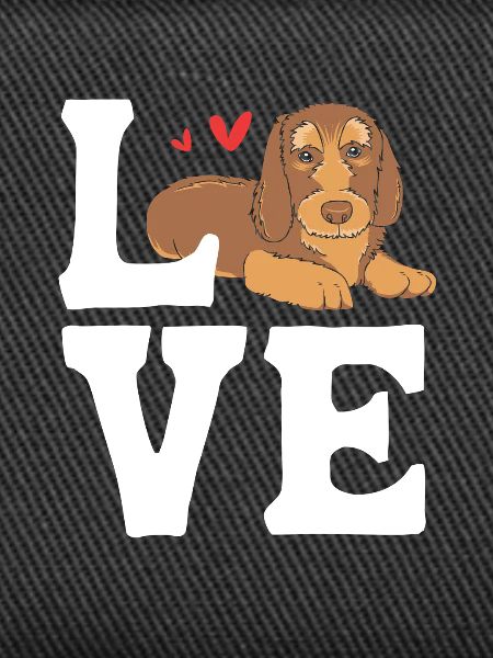 Dachshund wire-haired dachshund