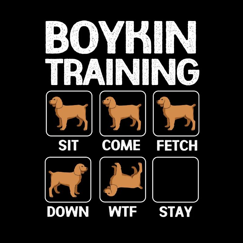 Boykin Spaniel