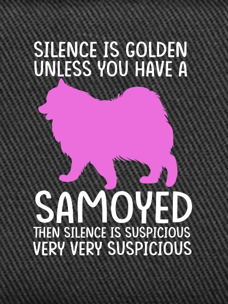 Samoyed Dog Samoyed