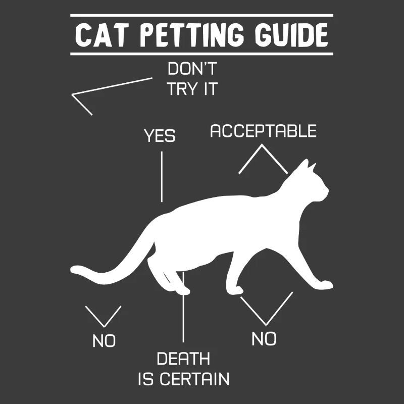 Guide de caresses pour chat