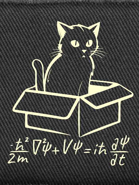 Schrödinger's Cat