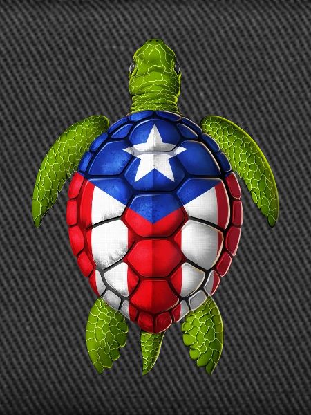 Puerto Rican Turtle
