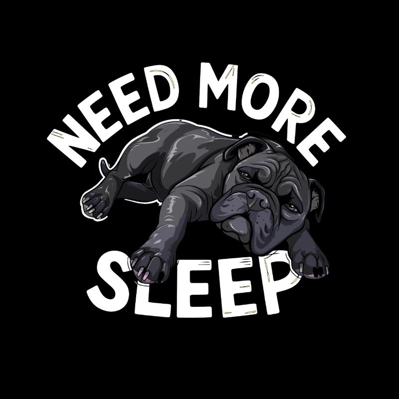 Besoin de plus de sommeil Drôle de carlin