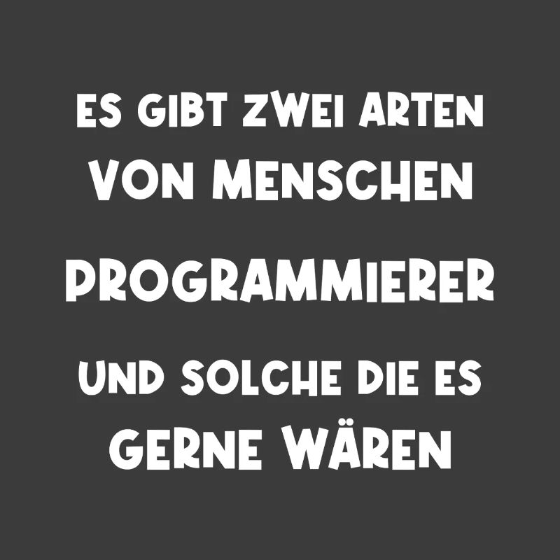 Programmierer Informatiker Softwareentwickler