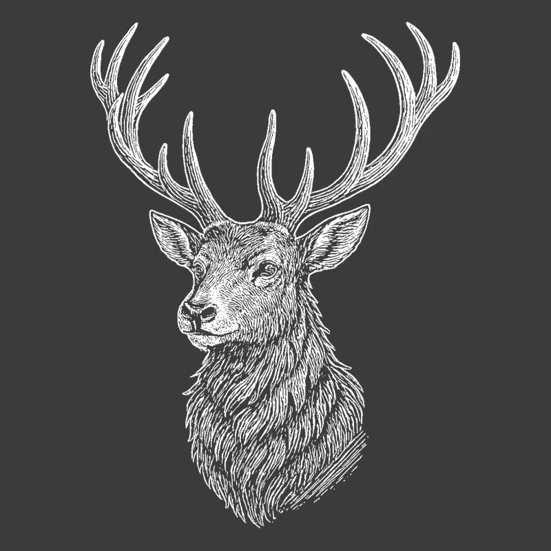 Cerf
