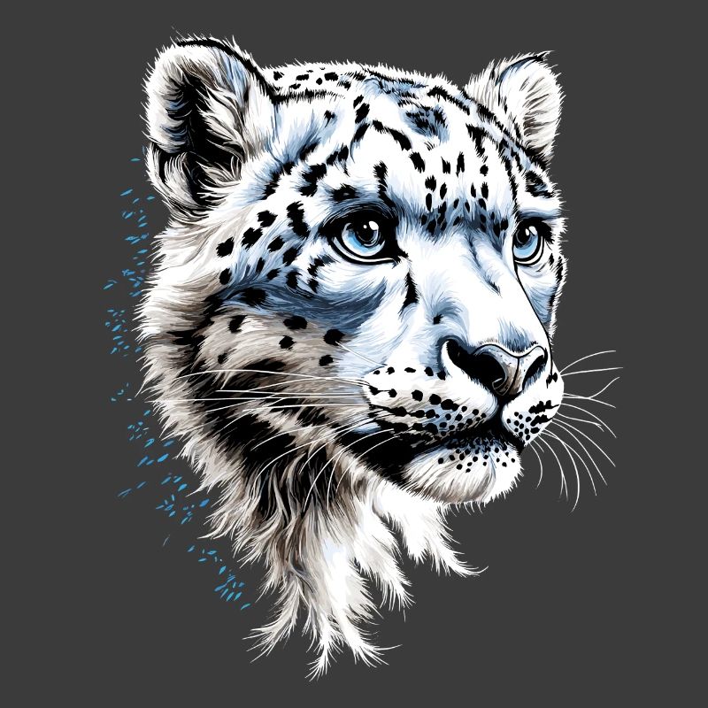 Snow Leopard Panther Big Cat Big Cat Leopard
