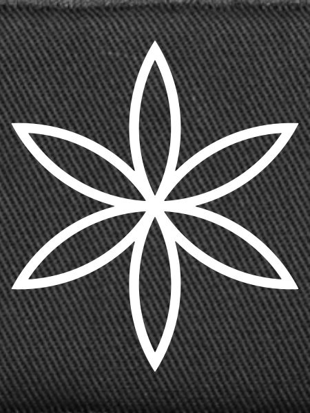 Blüte Keim