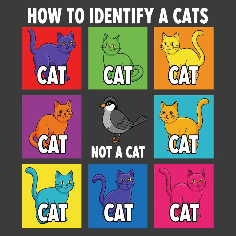 Cat Identification Guide