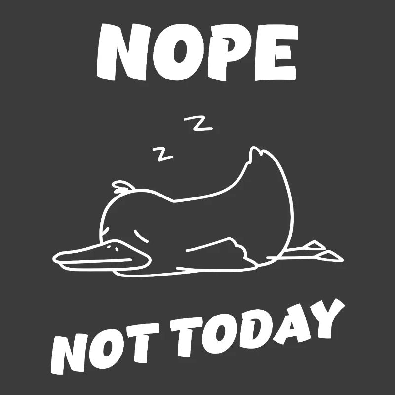 Nope Duck – Heute wird nichts!