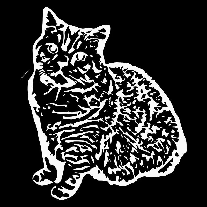 britisch Kurzhaar Katze Katze schwarz Katzen