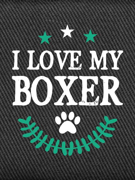 I love my Boxer