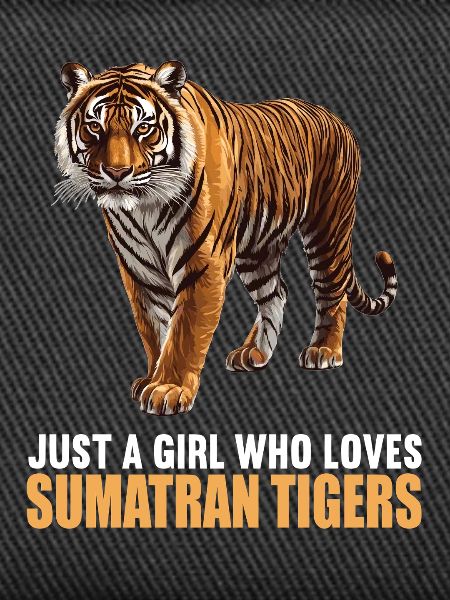Tigre de Sumatra