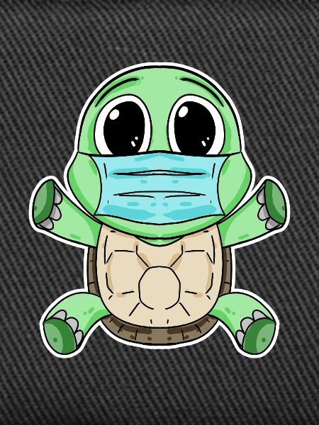 Cute turtle with mask