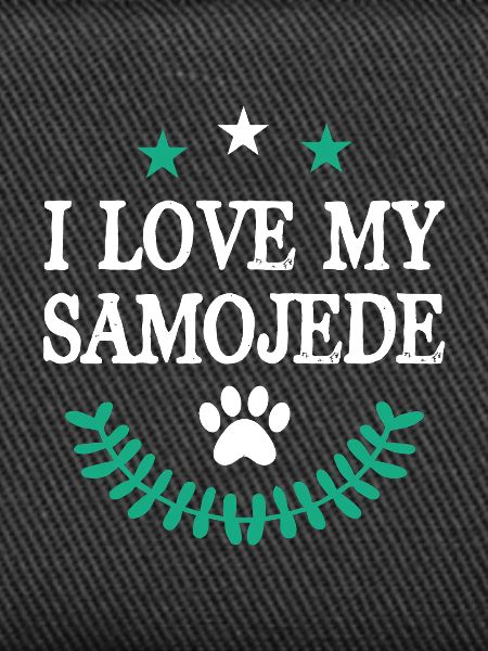 Samoyède