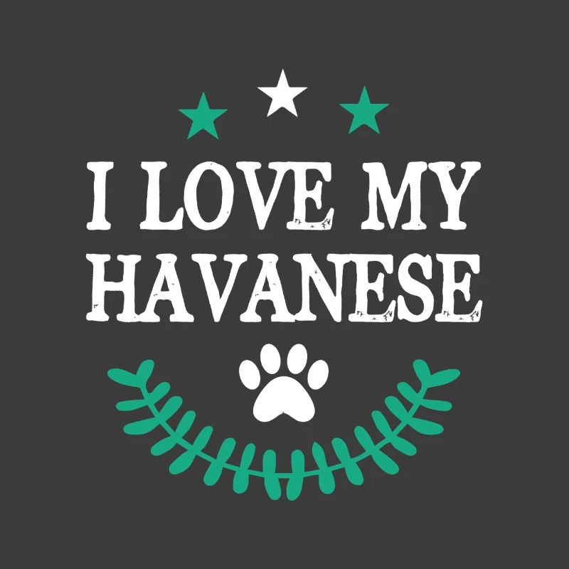 Havanese