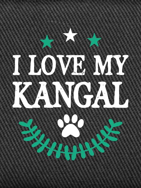 Kangal