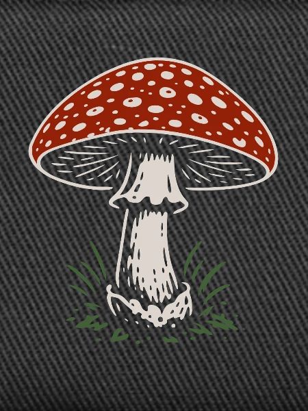 Fly agaric - mushrooms - saying