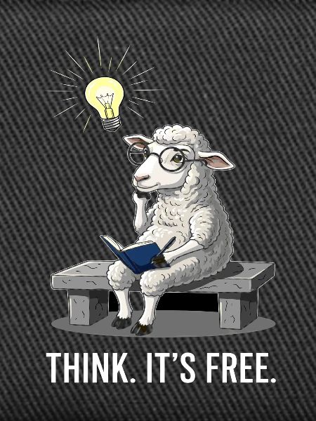 Thinking Sheep - Freedom