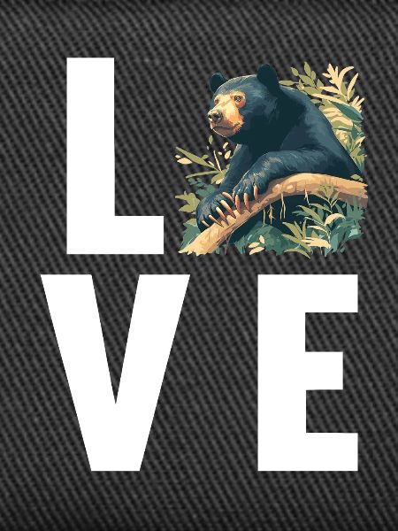 Sun Bear Malay Bear