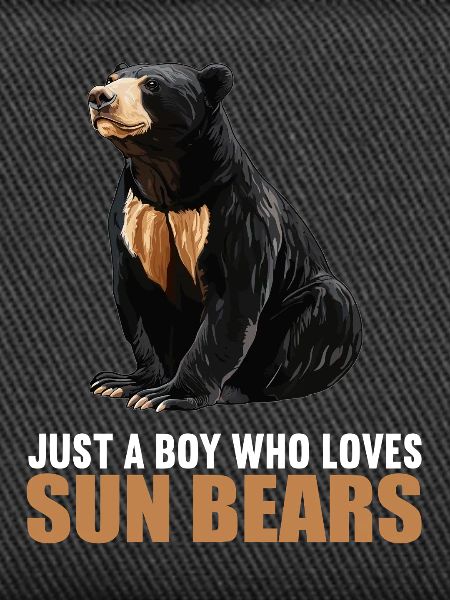 Sun Bear Malay Bear