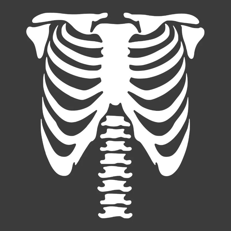 Skelett-Torso