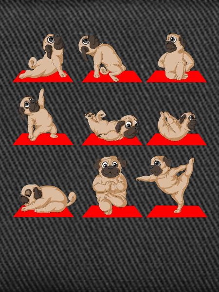 Mops Yoga Namaste Lustig
