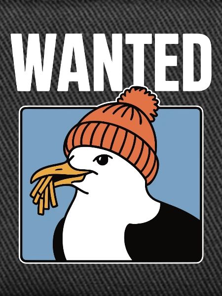Recherché : Frites Seagull